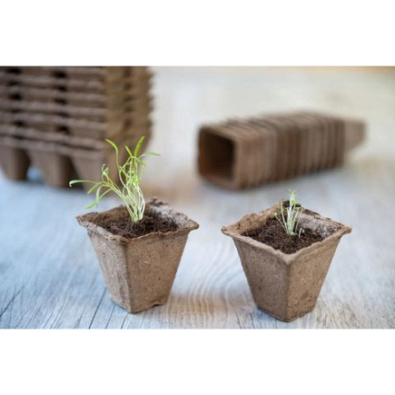 Nature - Turfpotjes - 20 Stuks - 6x6x6 cm