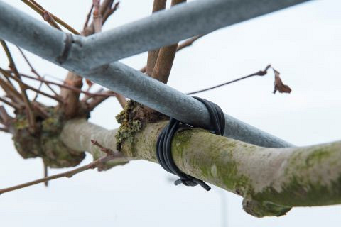 BINDBUIS 3MM 50 METER ZWART