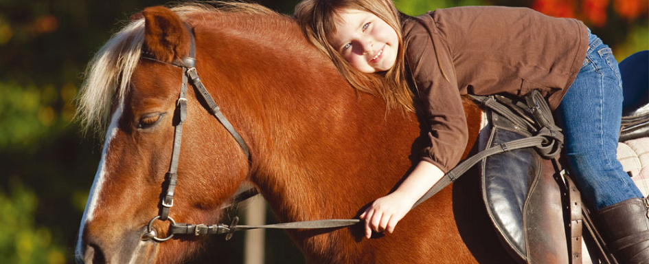 Paard en ruiter